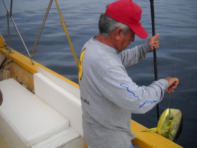  Das Dorado aus dem Wasser nehmen 